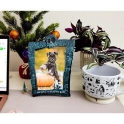 Silver Buffalo Disney The Nightmare Before Christmas Die-Cut Photo Frame | 4 X 6 Inches 9 Silver Buffalo Disney The Nightmare Before Christmas Die-Cut Photo Frame | 4 X 6 Inches -Christmas Decorations GUEST 18707fc2 53a8 4a6d a773 efeded49c84e