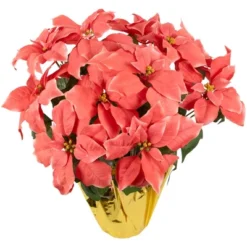Northlight 20" Dark Pink Artificial Christmas Poinsettia With Gold Wrapped Base 7 Northlight 20" Dark Pink Artificial Christmas Poinsettia With Gold Wrapped Base -Christmas Decorations GUEST 342355b9 6f8c 43a3 9692 e41fe2676709