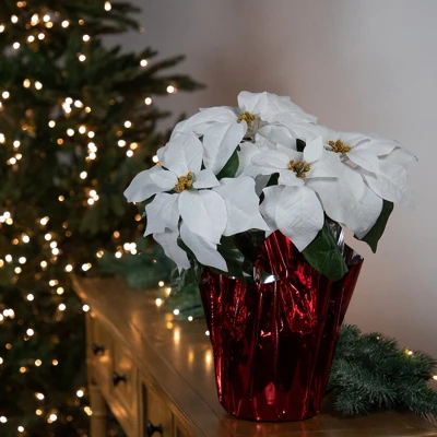 Northlight 14.5" White Artificial Christmas Poinsettia With Red Wrapped Base 1 Northlight 14.5" White Artificial Christmas Poinsettia With Red Wrapped Base