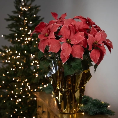 Northlight 20" Dark Pink Artificial Christmas Poinsettia With Gold Wrapped Base 1 Northlight 20" Dark Pink Artificial Christmas Poinsettia With Gold Wrapped Base
