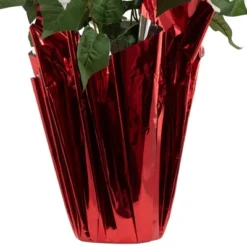Northlight 26" White Artificial Christmas Poinsettia In Red Wrapped Base -Christmas Decorations GUEST a5ffe649 2329 412d b16f 13139f8caa12