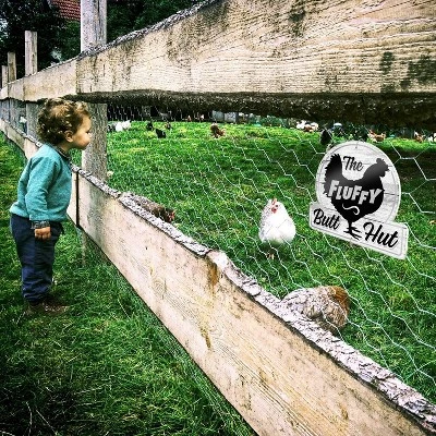 Bigtime Signs Chicken Decor 12"x11'' - Fluffy Butt Hut Christmas Yard Decorations & Coop Accessories | PVC 2 Bigtime Signs Chicken Decor 12"x11'' - Fluffy Butt Hut Christmas Yard Decorations & Coop Accessories | PVC - Image 2